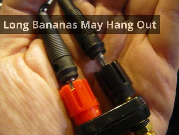 Long Bananas May Hang Out
