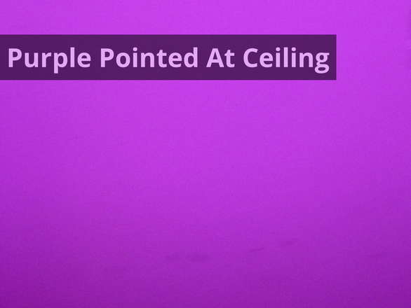 Purple Pointed At Ceiling